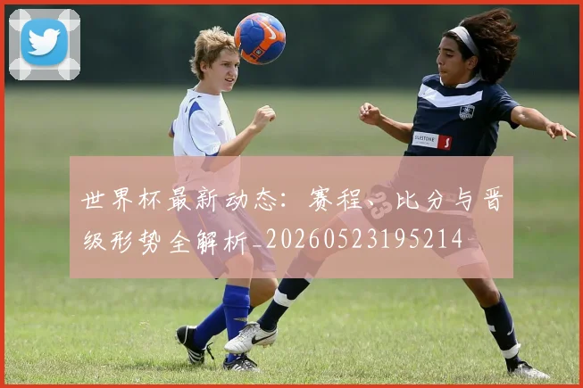 世界杯最新动态:赛程、比分与晋级形势全解析_20260523195214